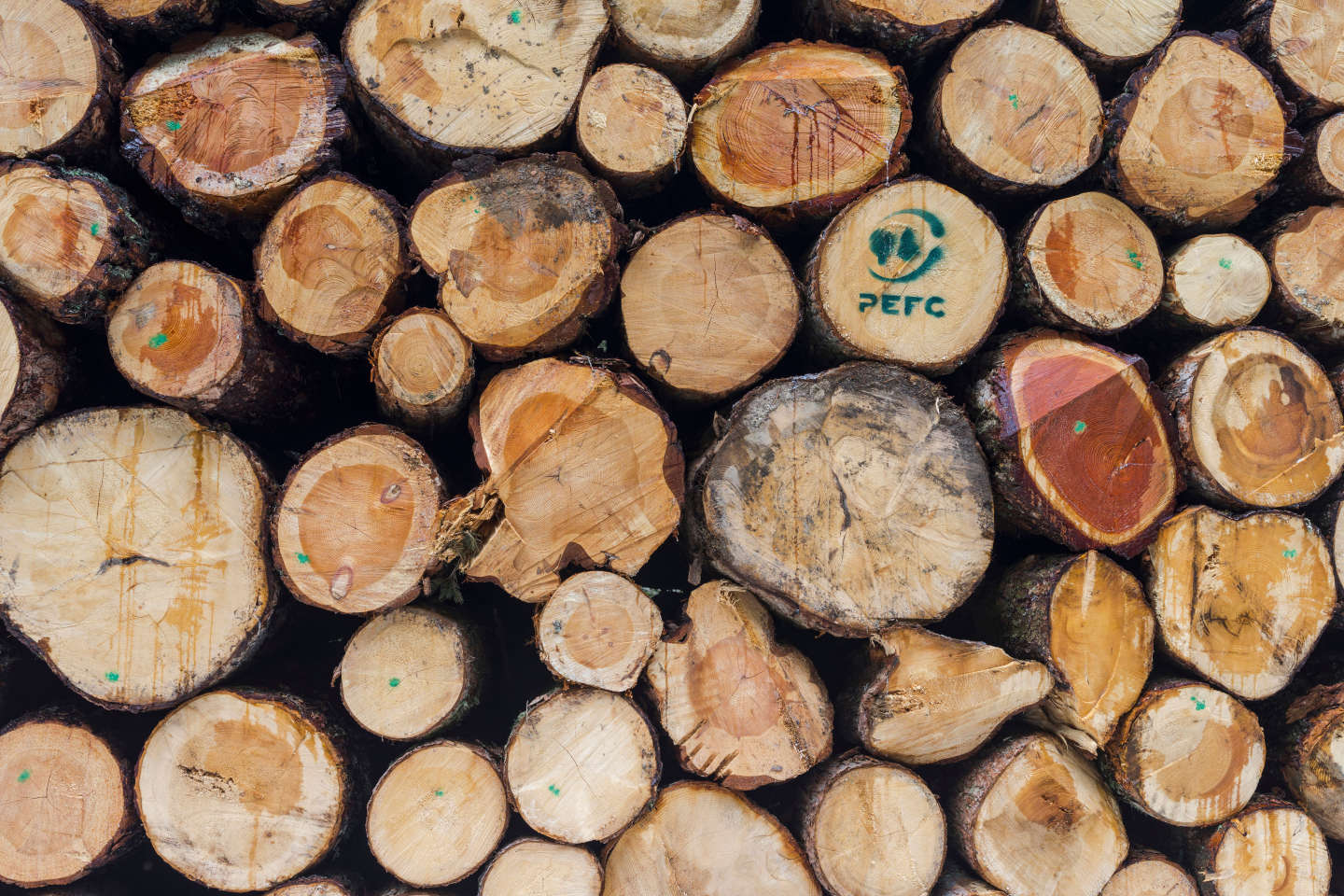 PEFC-certificeret træ